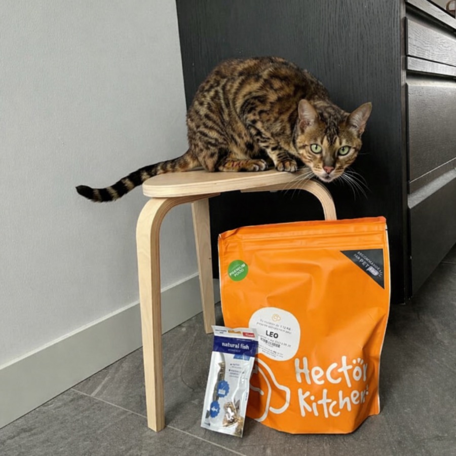 Edne avec son chat et ses produits Hector Kitchen